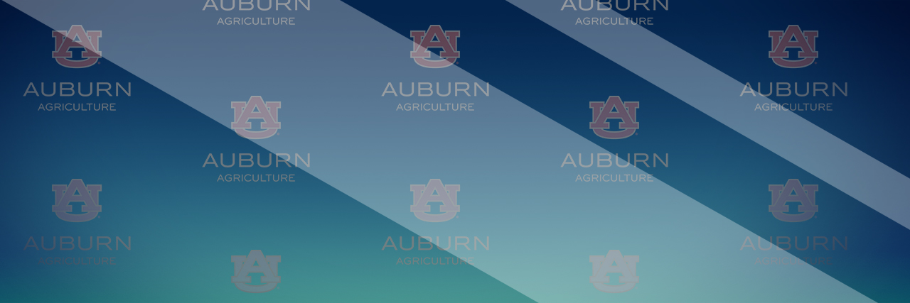 Default COA headshot or directory profile, Auburn University (AU) logo, Alabama, bluebg, Press Backdrop, Redcarpet Interview, Step-n-Repeat, arrow bg sm
