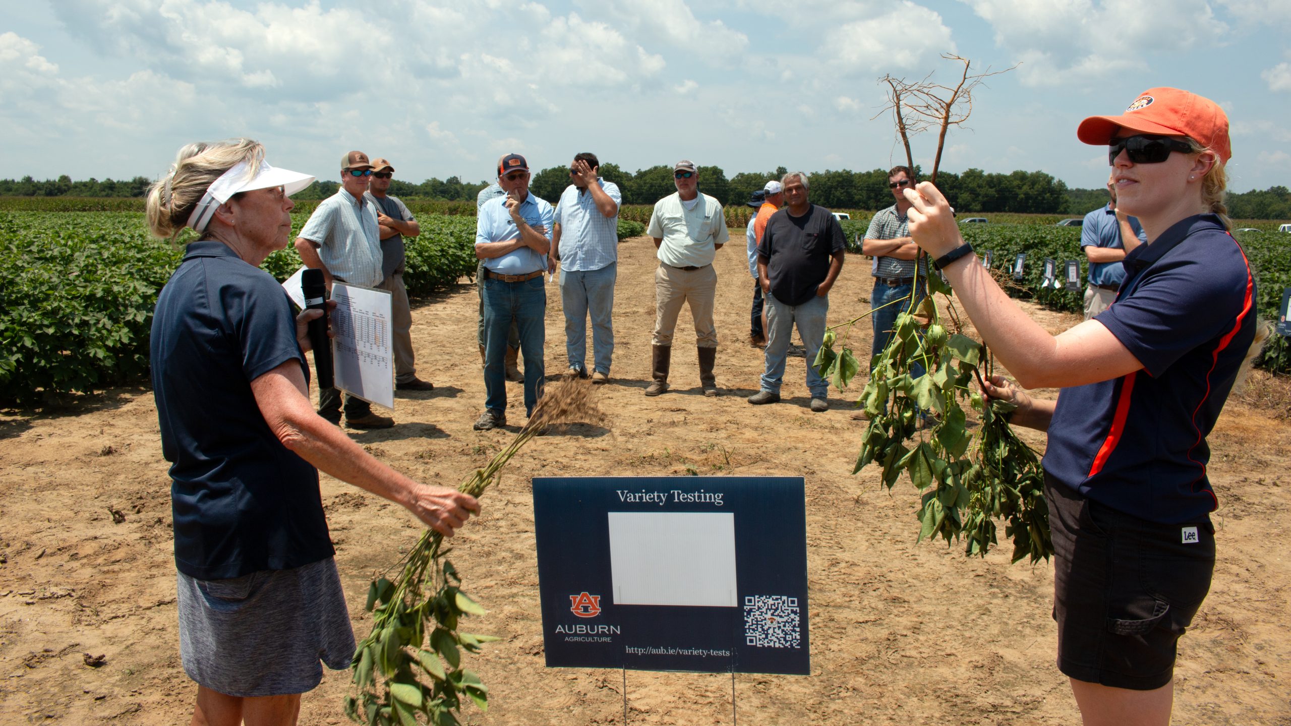 Kathy Lawrence, left, professor in the Department of Entomology and Plant Pathology and researcher with the Alabama Agricultural Experiment Station, is shown describing research to minimize nematode damage at the E.V. Smith Research Center in Shorter. Shown with Lawrence is Auburn graduate student Claire Schloemer.