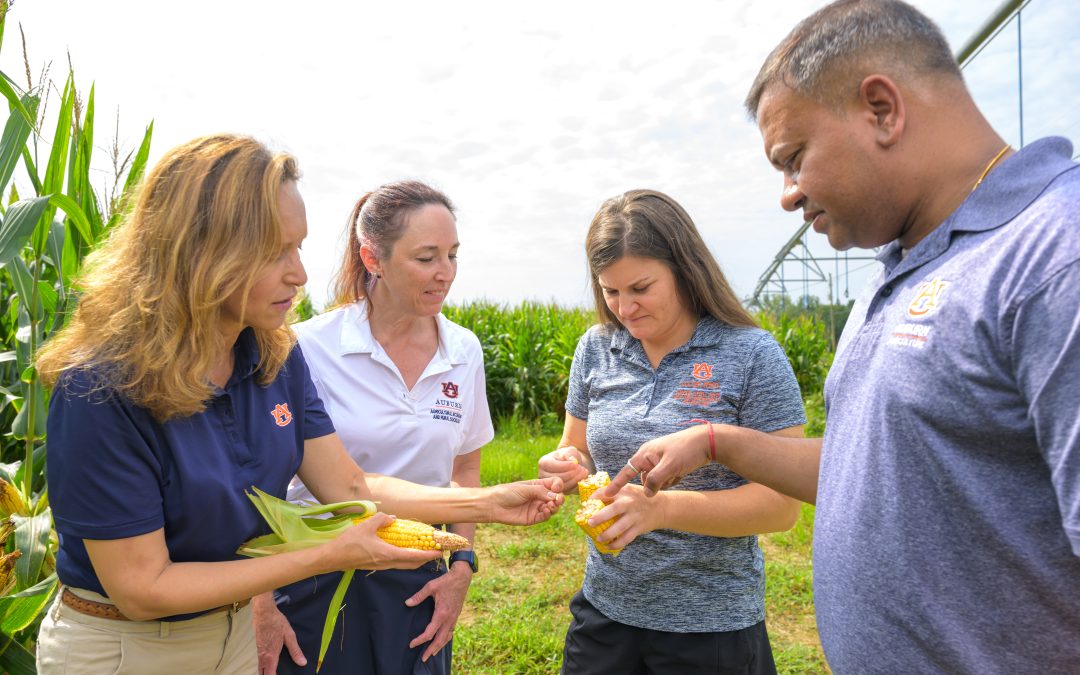 Auburn professors, farmers shaping the future of farming in Alabama