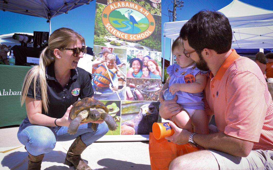 College of Agriculture to host annual Ag Roundup Sept. 16