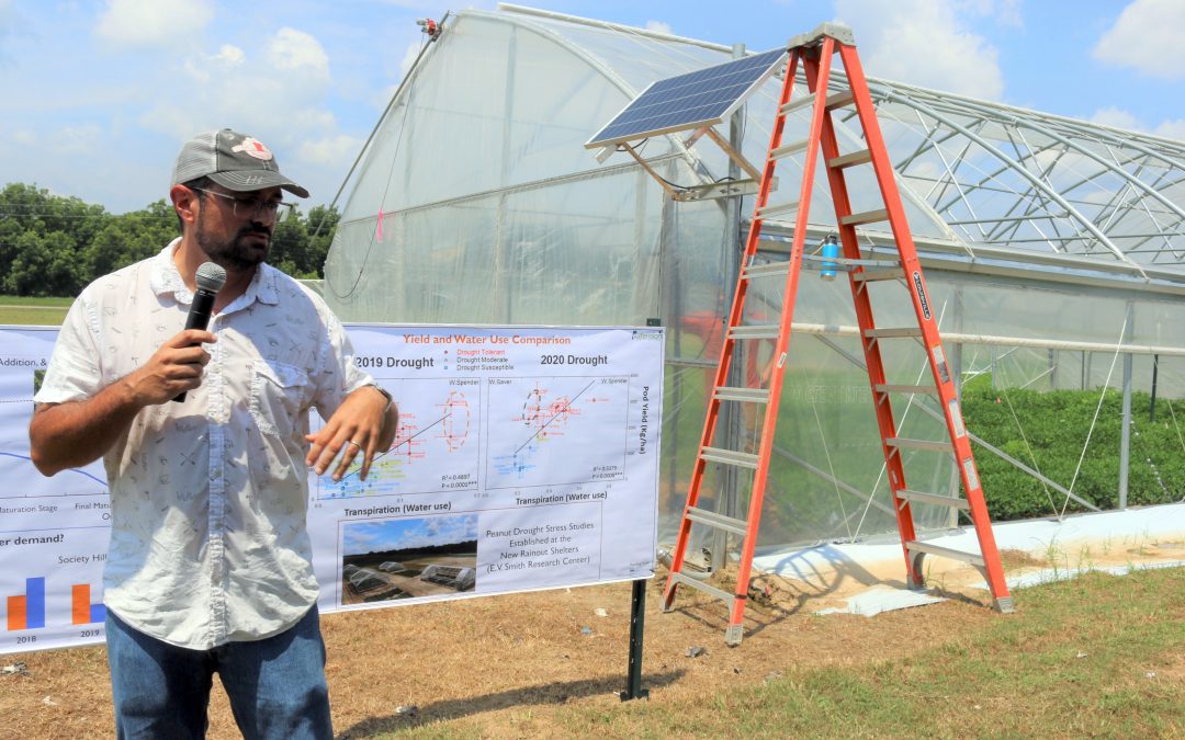 Building a better peanut plant