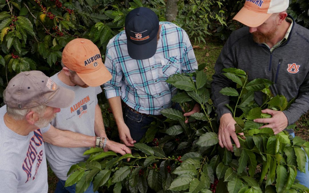 Brodbeck family has Auburn, Guatemala, coffee in their blood
