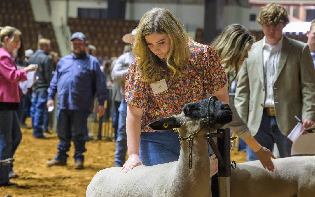 Livestock judging team adds to long tradition at Auburn