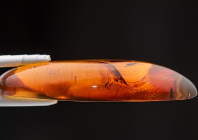 A piece of amber is held to the side, showing dark swirls