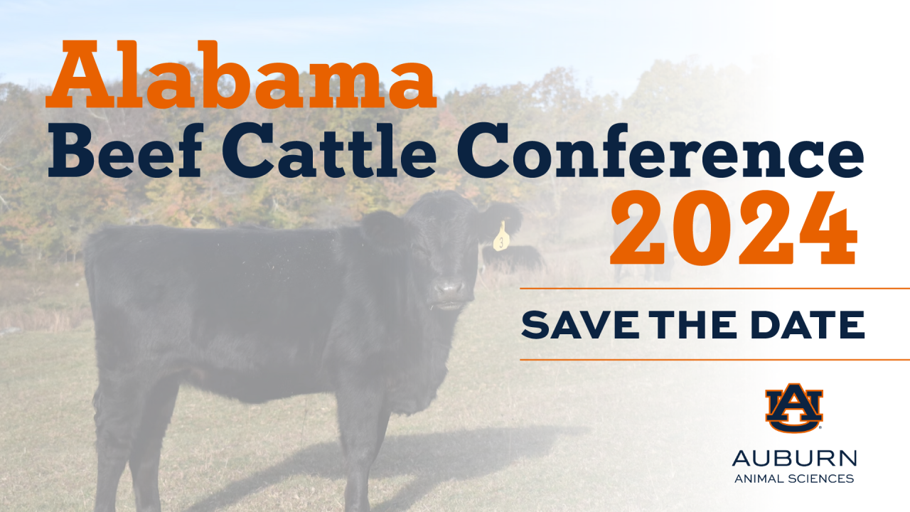 Alabama Beef Cattle Conference 2024 / Auburn University College of ...