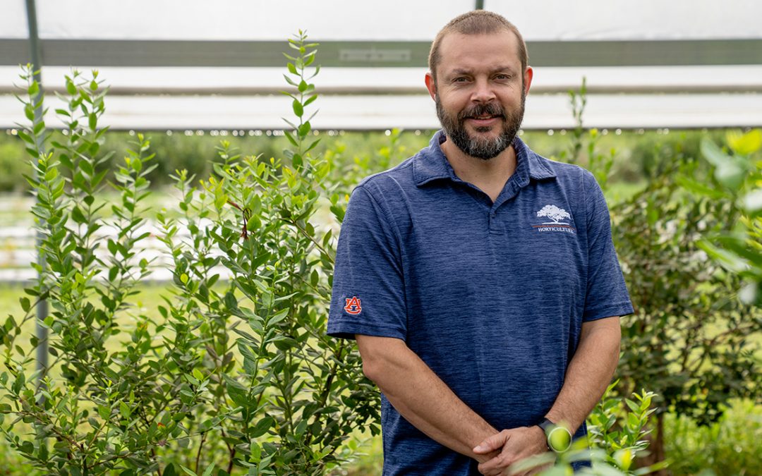 Promoting blueberry production in Alabama