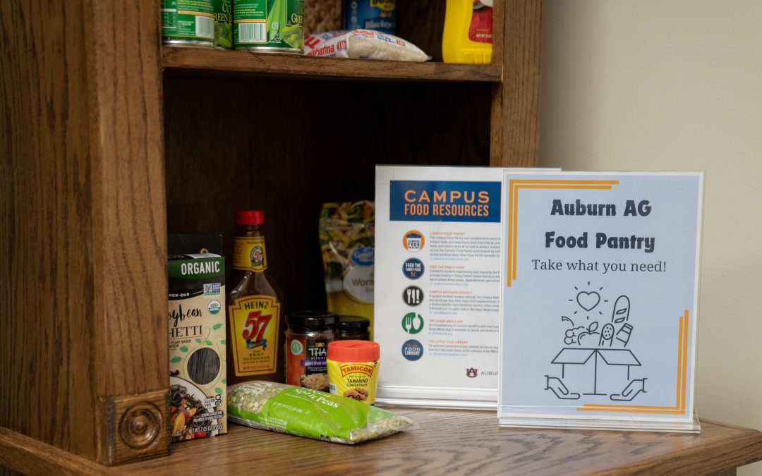 Food pantries offered by College of Agriculture