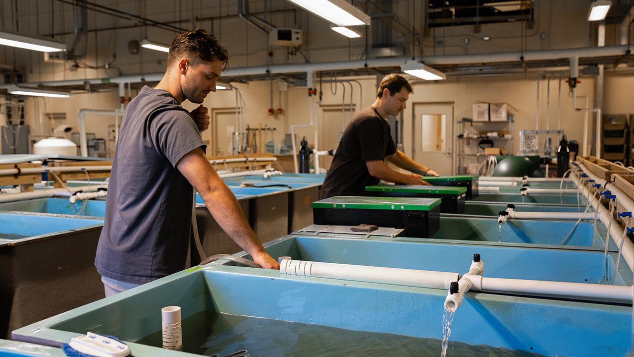 Two men work in a wet lab on the Auburn campus