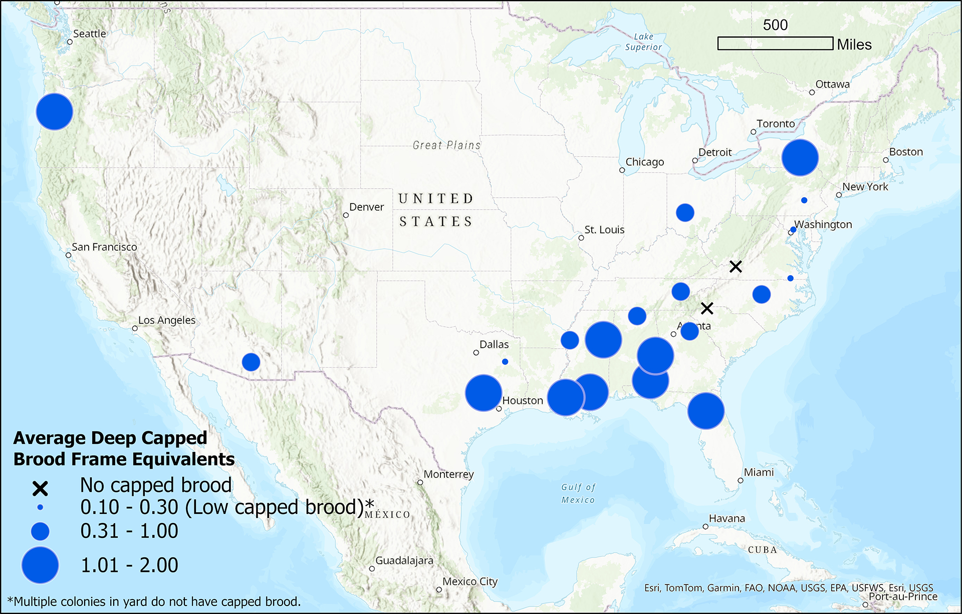 Brood map for the week of October 24, 2024