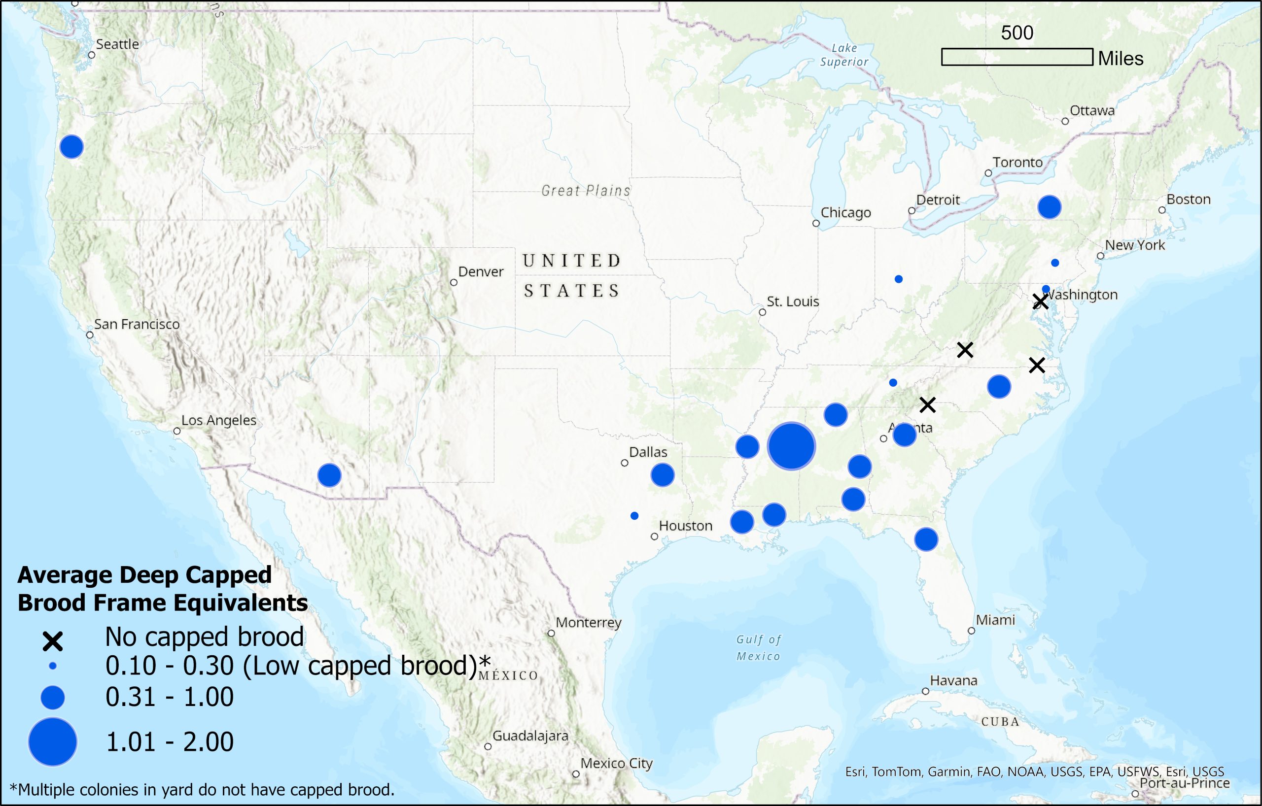 Brood map for the week of October 24, 2024