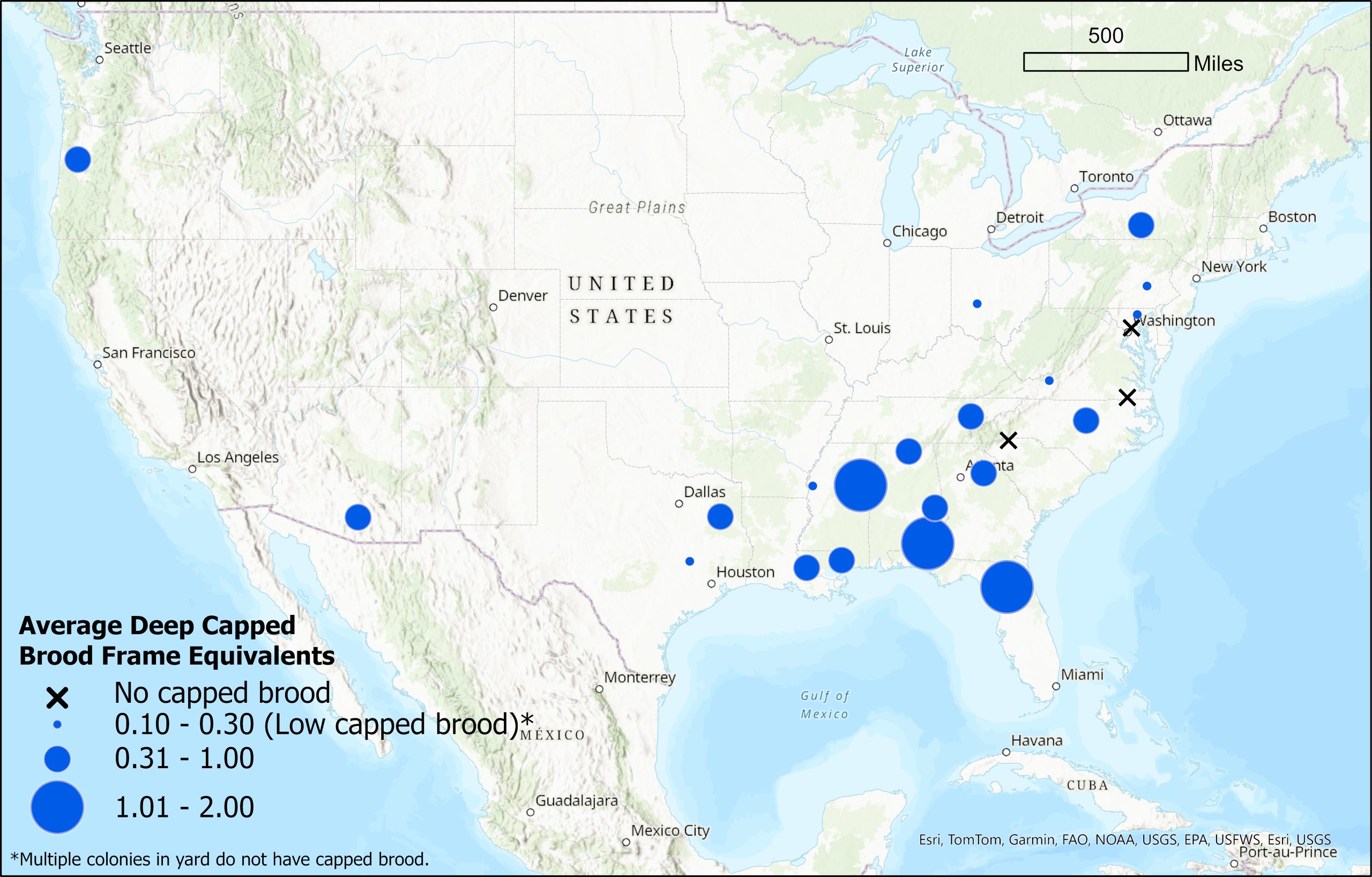 Winter Brood Monitoring map for the week of November 21, 2024