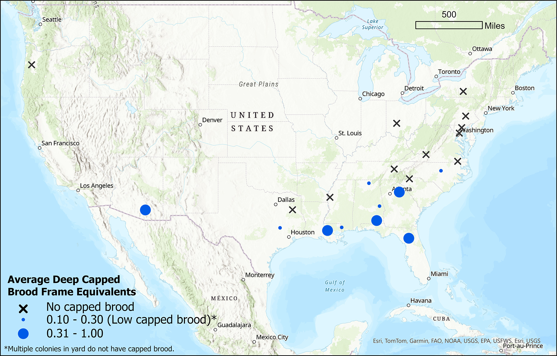 Winter Brood Monitoring map for the week of December 5, 2024