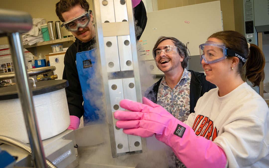 Developing high-performing genetic lines and hybrids for the catfish industry