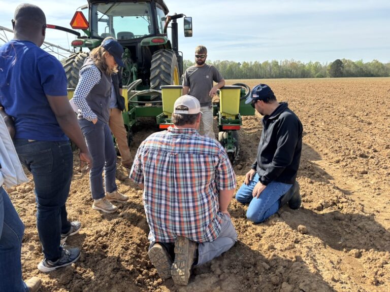 Researchers checking project in a field.