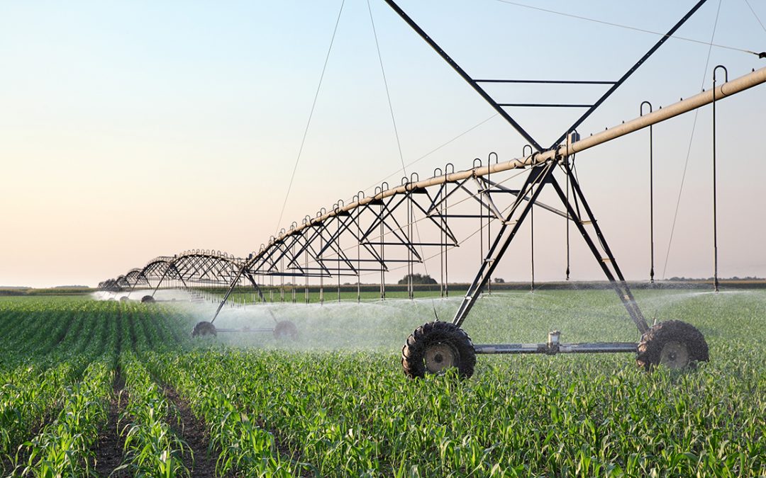 Predicting investment returns for crop irrigation