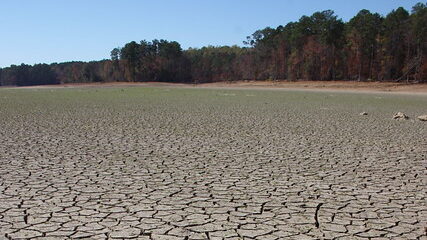 Cracked dry field
