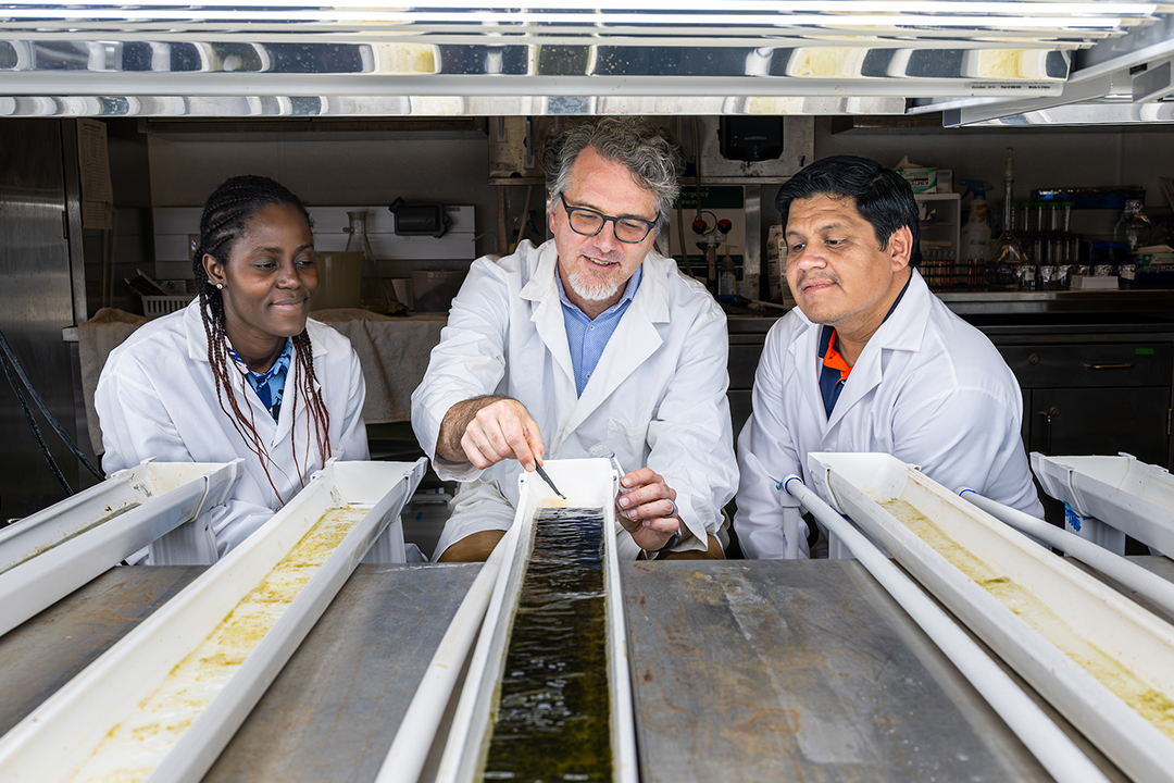 Auburn-Agriculture-BSEN-Fuel-the-Future Two students observe a professor in a lab.