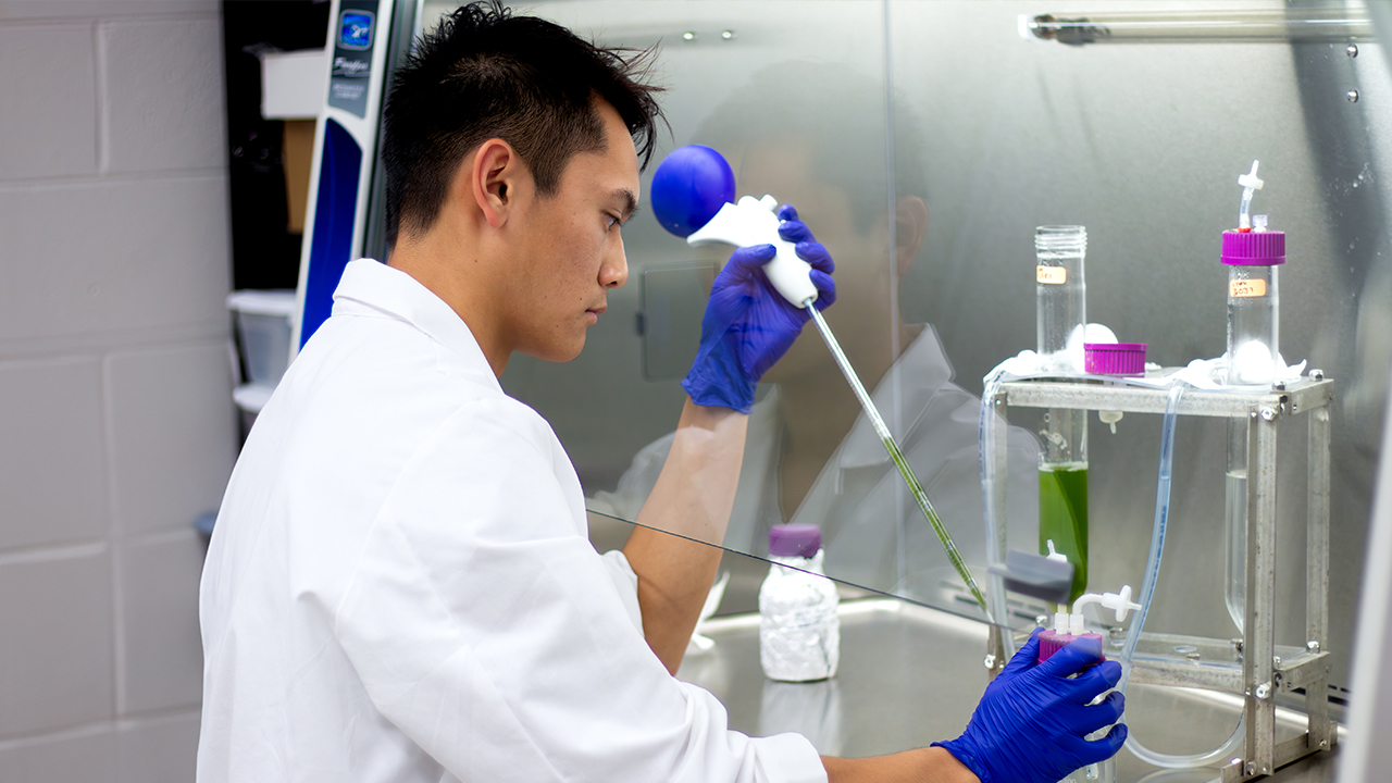 YT-Bioprocess A student works in a lab.