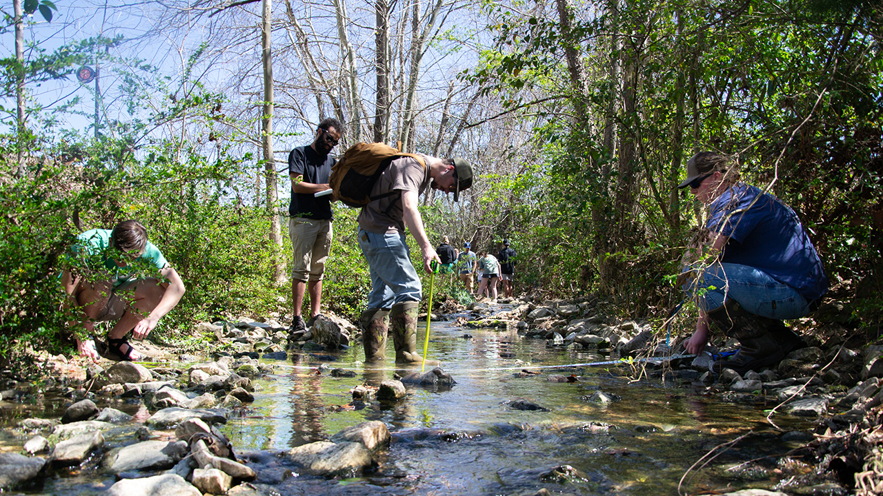 YT-Ecological A group of students wading through a stream surrounded by greenery and trees, wearing outdoor clothing and footwear.
