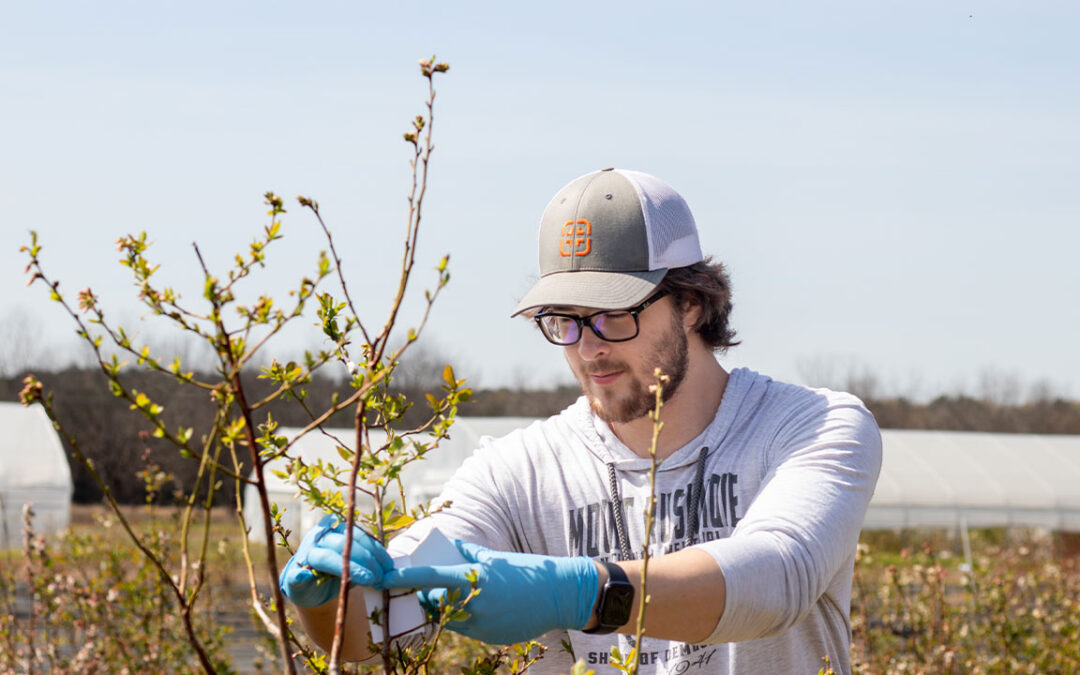 BATM major combines agriculture, technology to create workforce of future