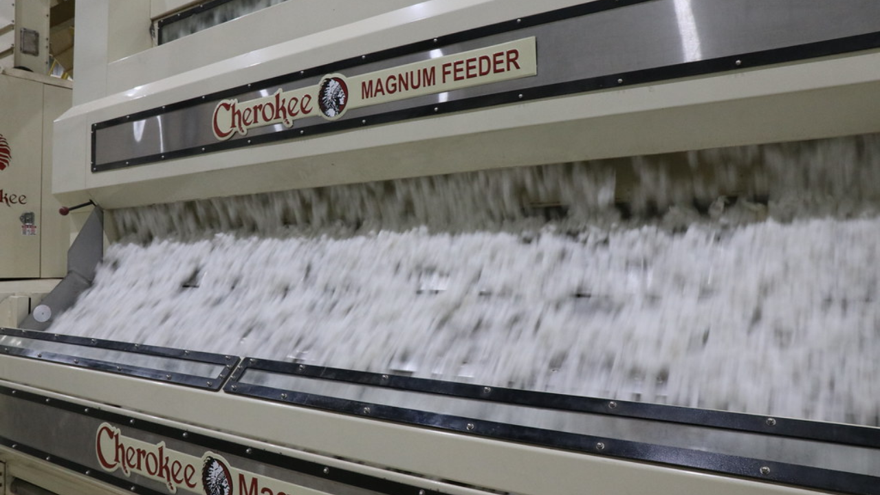 Cotton ginning process