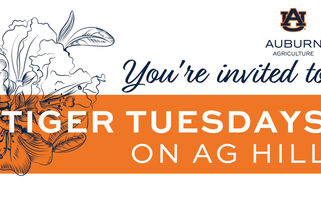 Tiger Tuesdays – Fall 2025 (Transfer Students)