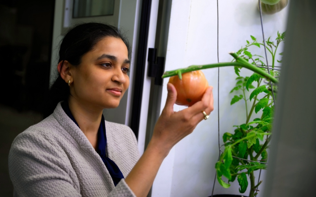 Securing food and protecting our planet