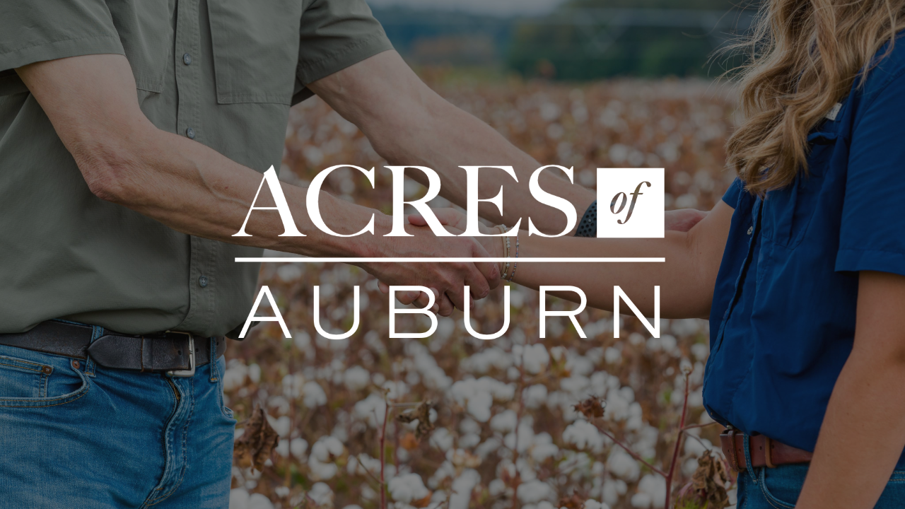 acres-auburn-lawton-featured The Acres of Auburn Title Card design overlayed on top of a darkened photo of two people shaking hands in front of a cotton field