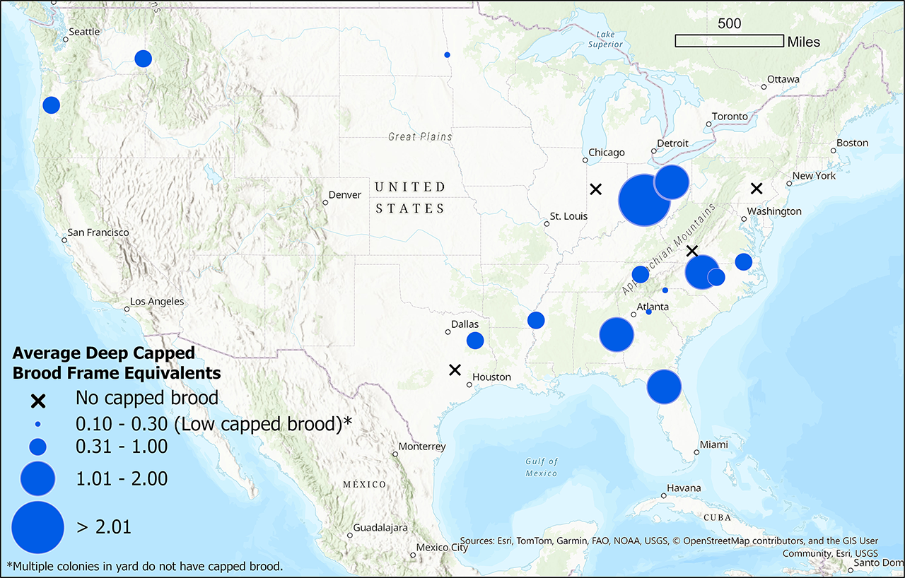 Winter brood monitoring map for the week of 10/23/25