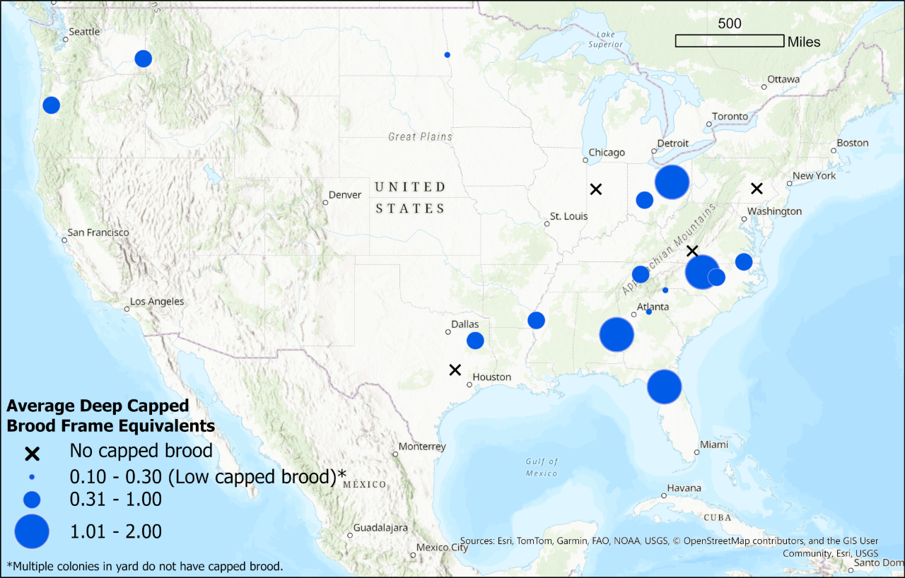 Winter brood monitoring map for the week of 10/23/25