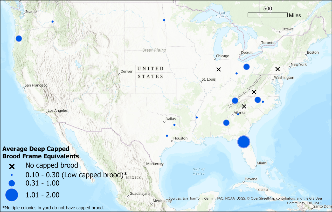 Winter Brood Monitoring map for the week of November 5, 2025