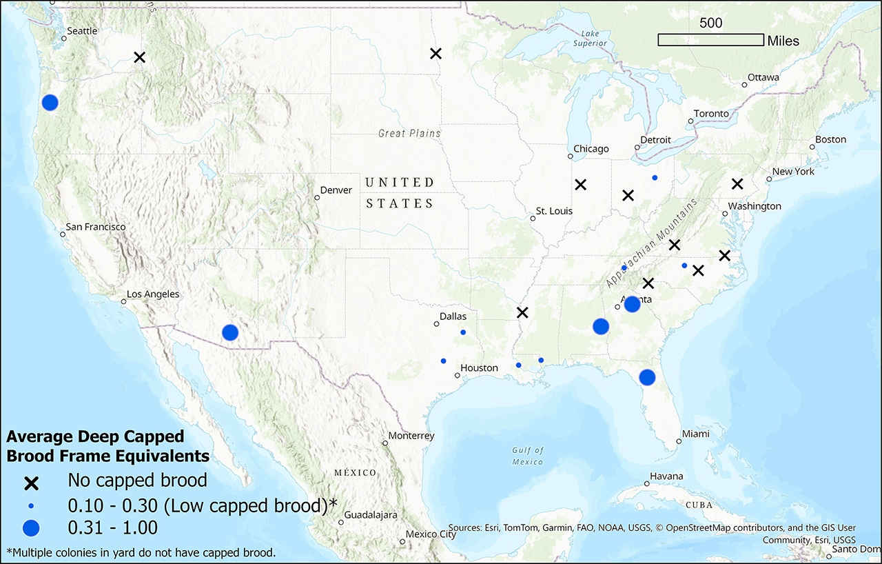 Map of winter brood monitoring for the week of November 19, 2025