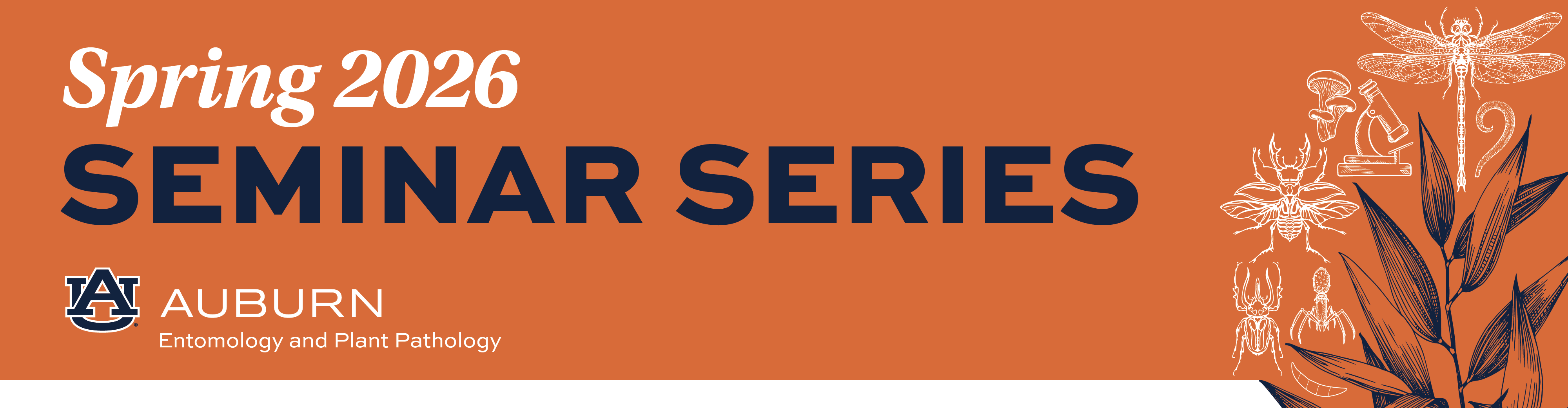 Huge green poisonous stinging caterpillar with long spines from the rainforest in Bolivia, South America, on a piece of wood.