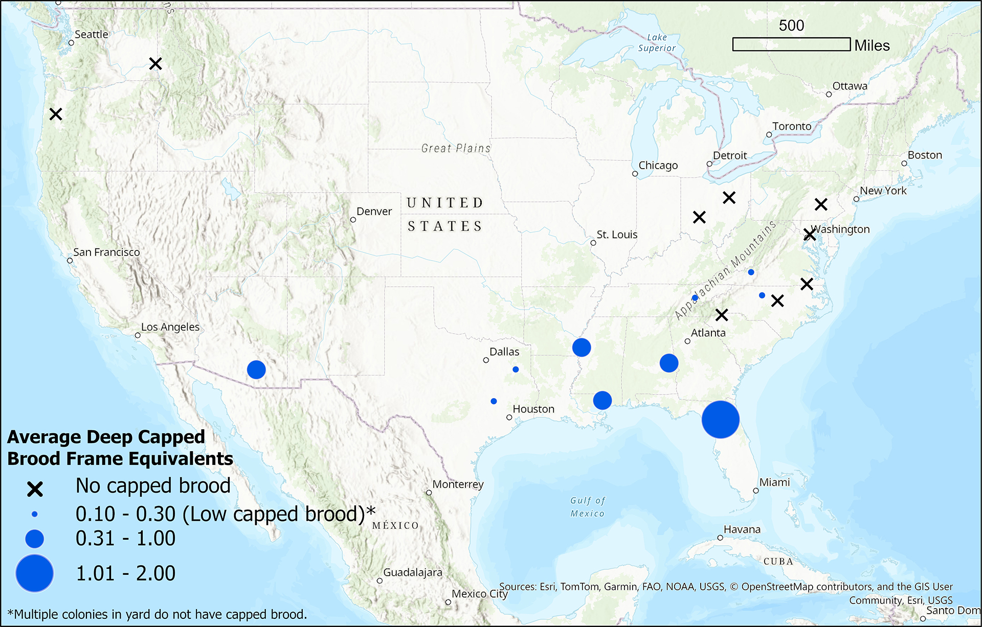 Winter brood map for the week of December 31, 2025